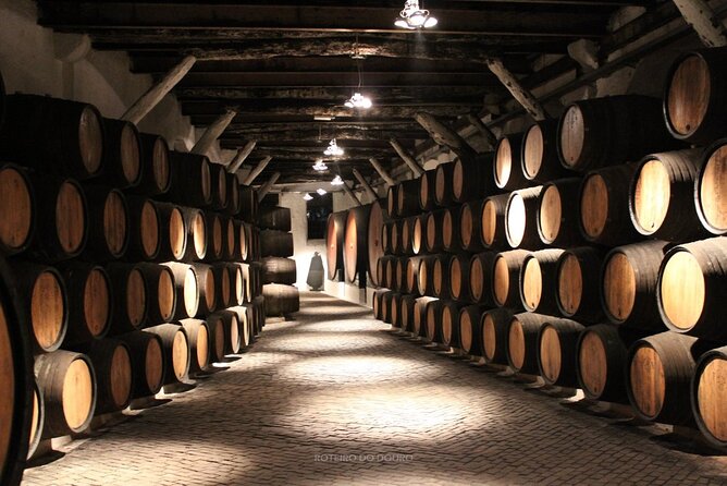 Douro Valley Wine Tour Private Group, 1h Cruise, Lunch from Porto - Peso da Régua lunch and a family-run winery tasting