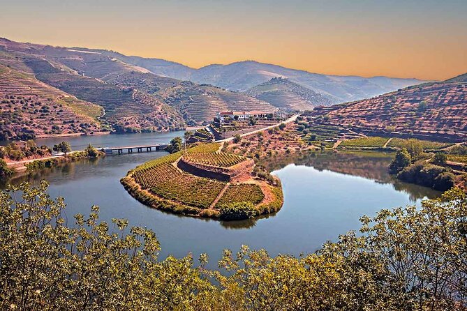 Douro Valley Wine Tour Private Group, 1h Cruise, Lunch from Porto - Dropping back in Porto: a full day, finished cleanly