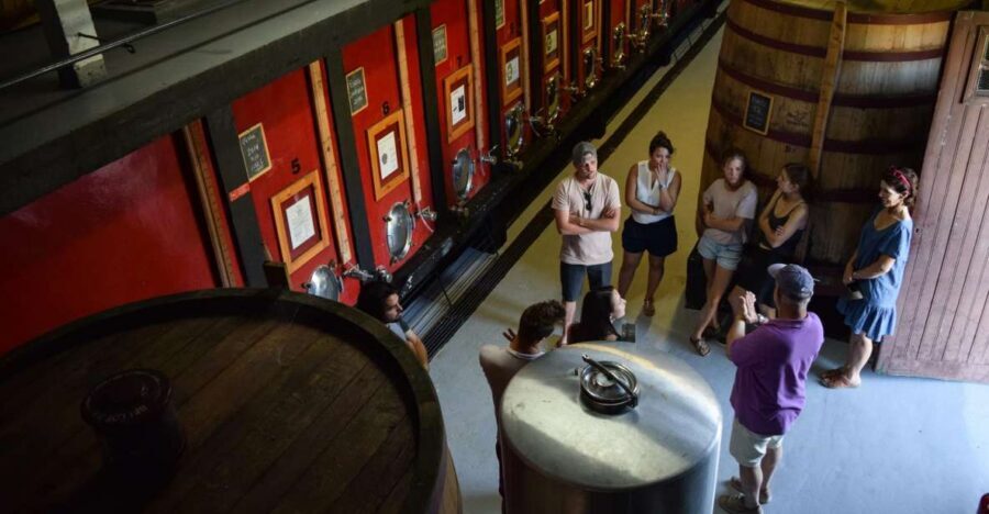 Douro Valley: Winery Tour at Quinta do Tedo and Tastings - Quinta do Tedo: the Douro and Tedo confluence in one stop