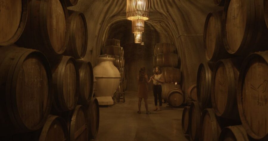 Douro Valley: Winery Tour at Quinta do Tedo and Tastings - Price and value: what $42 gets you in the Douro Valley