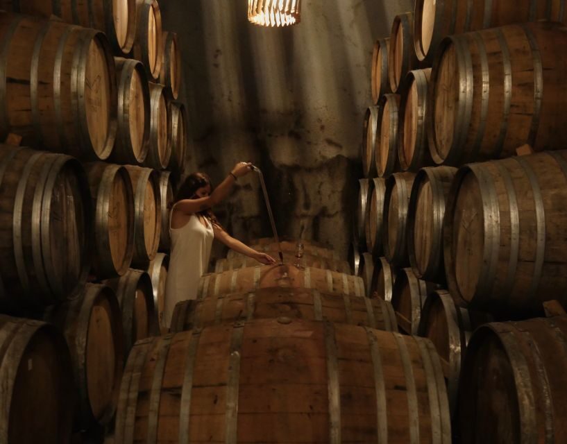 Douro Valley: Winery Tour at Quinta do Tedo and Tastings - Should you book Quinta do Tedo’s Porto and red wine tour?