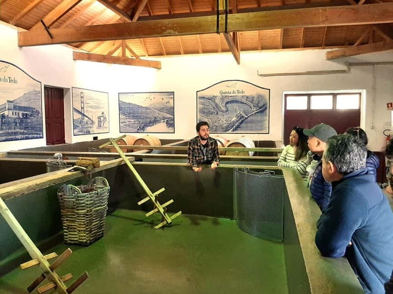 Douro Valley: Winery, Traditional Lunch & Private Boat Trip - Key Things That Make This Douro Tour Worth Your Day