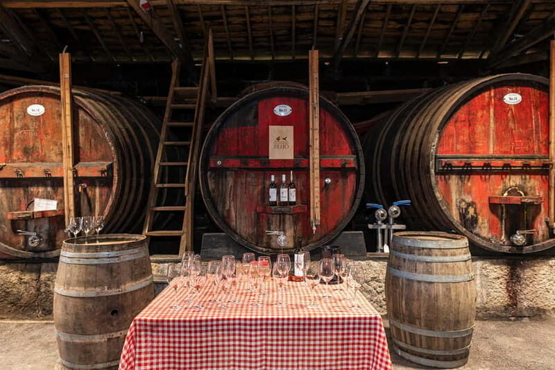 Douro Valley: Winery, Traditional Lunch & Private Boat Trip - Price and Value: Why $223 Can Feel Fair (or Not)