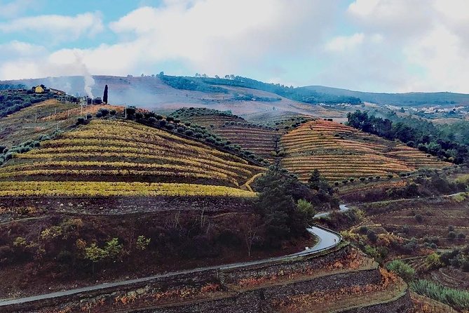 Douro Valley with Two Winery, Boat Trip and Lunch From Porto - Key points you’ll care about