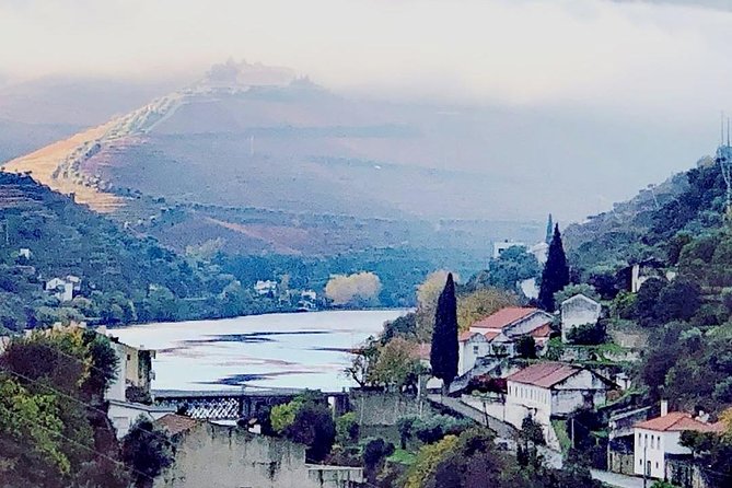 Douro Valley with Two Winery, Boat Trip and Lunch From Porto - The Douro Valley viewpoints: photo stops that actually matter