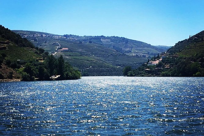 Douro Valley with Two Winery, Boat Trip and Lunch From Porto - Quinta do Seixo (Sandeman): why the first winery is a strong anchor