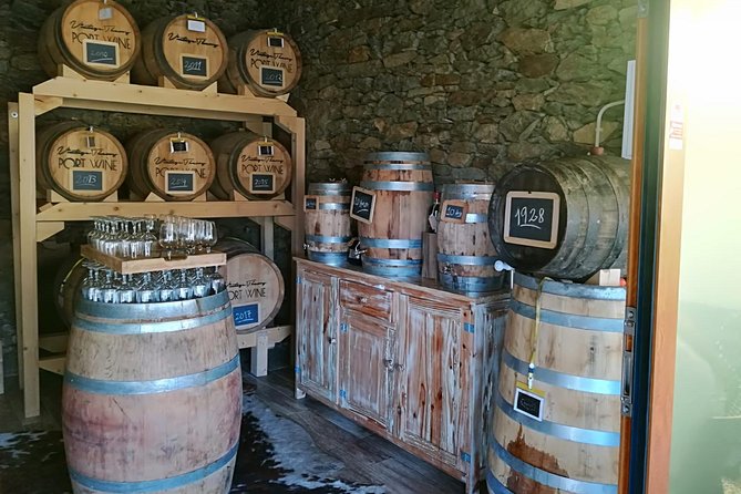 Douro Valley with Two Winery, Boat Trip and Lunch From Porto - Pinhão river cruise: the views are the main event
