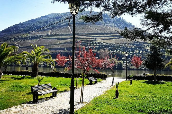 Douro Valley with Two Winery, Boat Trip and Lunch From Porto - D’Origem: the second winery gives a different flavor of the region