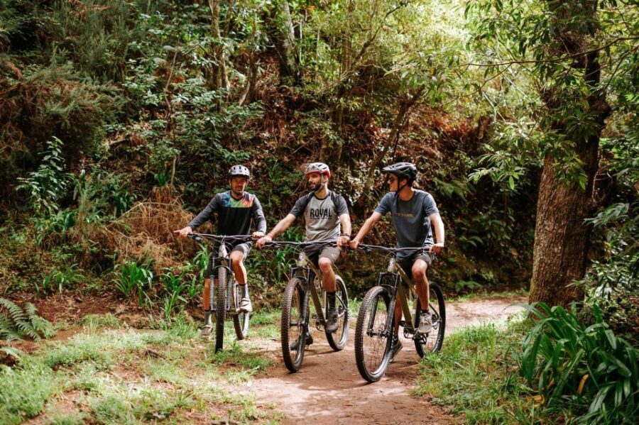 E-Bike Guided Tour - Mountain biking experience - Getting to Camacha: the morning rhythm that matters