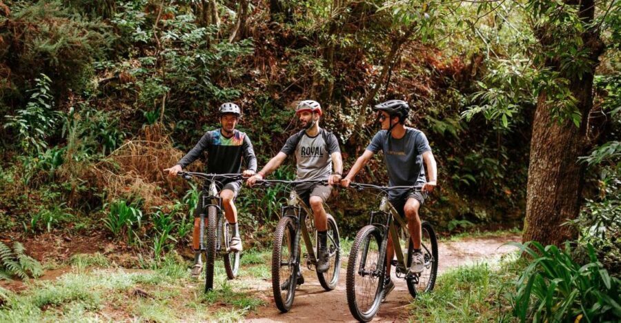 E-Bike Guided Tour - Mountain biking experience - What you ride: KTM Macina Ride 291 with Bosch power (and a hardtail style)