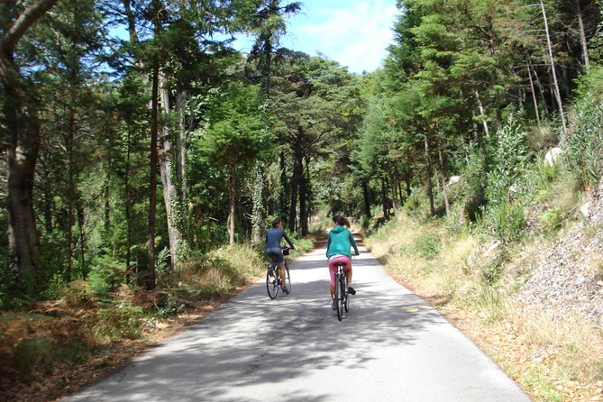 E-Bike Self-Guided Sintra - Cascais (Private Tour from Lisbon) - Guincho Beach: ocean views, and time to swim if you want