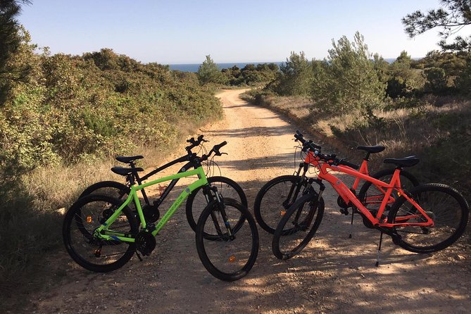 E-Bike Tour: Sete Vales Suspensos Trail (Marinha and Benagil) - Where the ride starts near Lagoa and why that matters