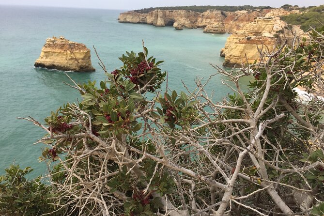 E-Bike Tour: Sete Vales Suspensos Trail (Marinha and Benagil) - How long is the tour, and what’s a realistic pacing expectation?