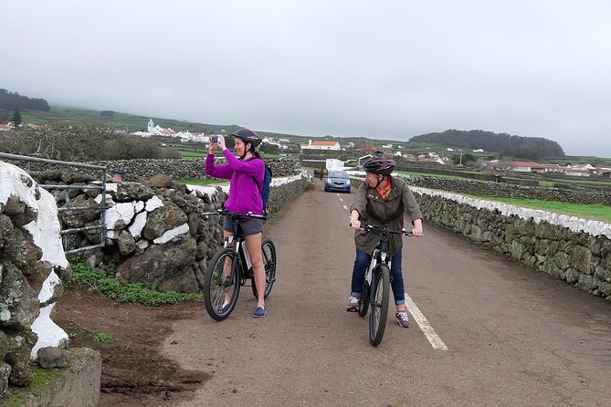E-Bike Tour West Side | Third Island - West coast riding: green fields, cows, and long stretches of calm