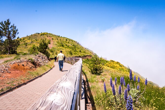 East Madeira 4x4 Jeep Tour with Local Guide - Price and what you actually get for $111.31