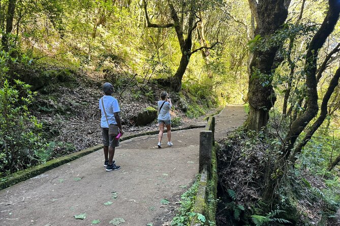 EAST: Pico do Arieiro & Laurissilva Forest - Full Day tour - Pico do Arieiro: Cloud-Top Ridgelines at 1,818 m