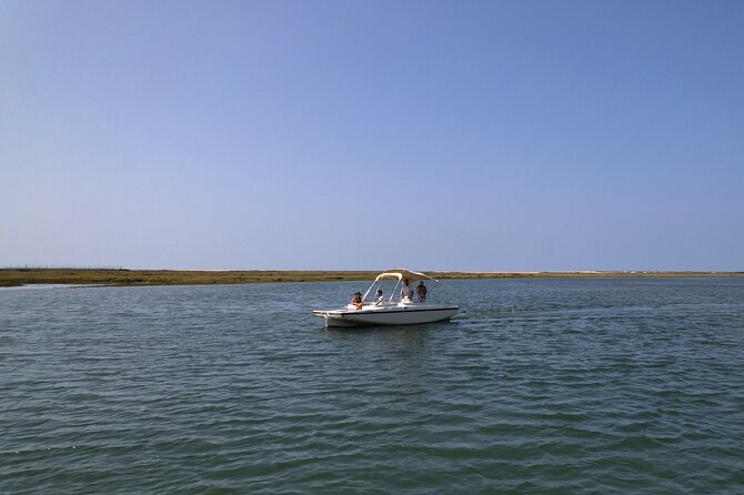 Eco Boat Tour in the Ria Formosa Lagoon from Faro - Getting to the boat: check-in, vests, and what to expect