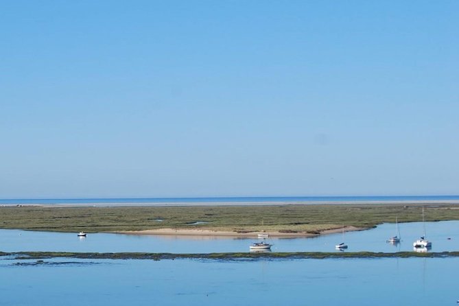Eco Boat Tour in the Ria Formosa Lagoon from Faro - Tides run the show: when you’ll see more birds
