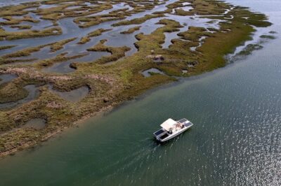 Eco Boat Tour in the Ria Formosa Lagoon from Faro - The 1-hour itinerary: what happens between Faro and the marsh