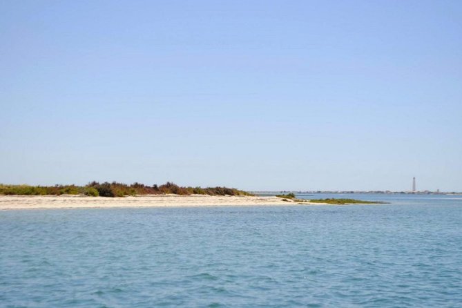 Eco Boat Tour in the Ria Formosa Lagoon from Faro - Your guide’s style: humor, languages, and real local context