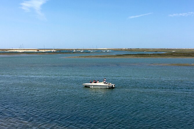 Eco Boat Tour in the Ria Formosa Lagoon from Faro - Small group feel and the extras that boost birdwatching