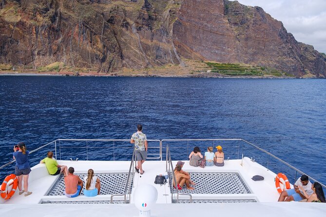 Eco-Friendly Catamaran Dolphin and Whale Watching - Where you meet in Funchal (and what that means for your day)