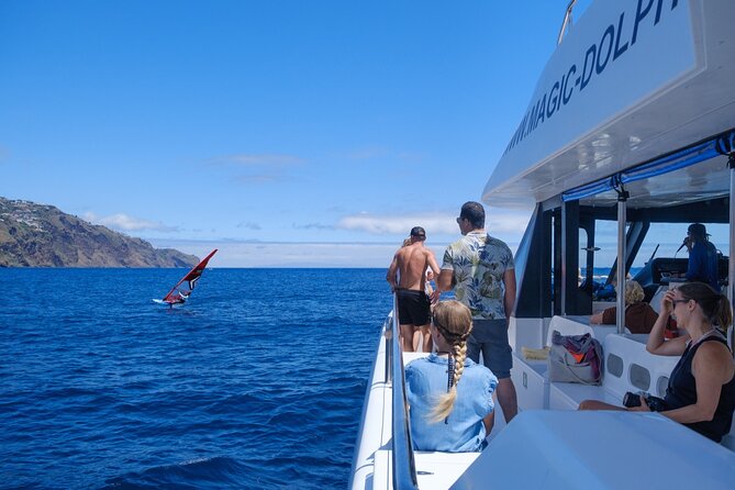 Eco-Friendly Catamaran Dolphin and Whale Watching - The offshore wildlife part: what you might see, and how the timing works