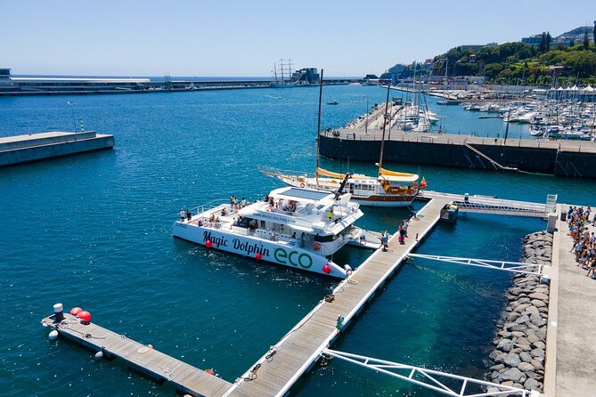 Eco-Friendly Catamaran Dolphin and Whale Watching - Drinks and snacks: what’s included, what costs extra