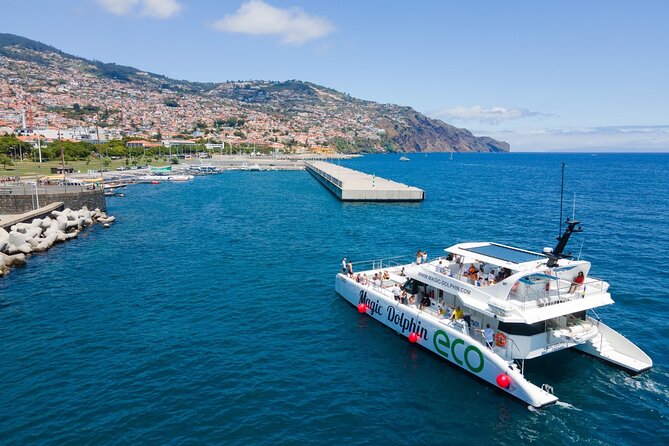 Eco-Friendly Catamaran Dolphin and Whale Watching - Swimming at the end: fun option, but don’t plan your day around it