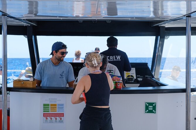 Eco-Friendly Catamaran Dolphin and Whale Watching - Price and value: why $42.34 can be a good deal (if you match expectations)