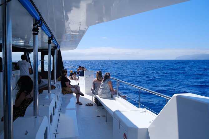 Eco-Friendly Catamaran Dolphin and Whale Watching - How the crew finds whales and dolphins from offshore