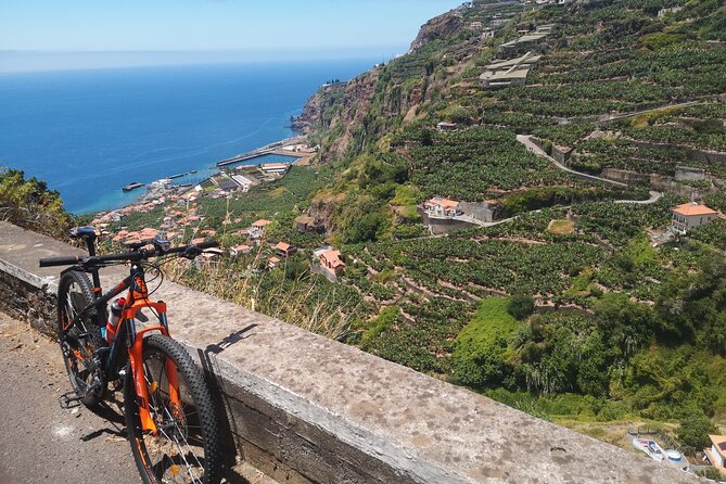 Electric Bike Tour in Northern Madeira - Pacing, Safety, and the Role of the Guide
