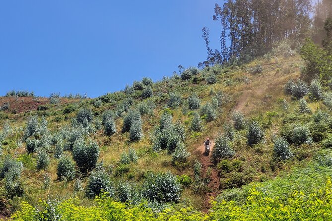 Enduro Dirt-Bike Tour - Stop 4: Miradouro da Portela for a Reset Before the Final Push
