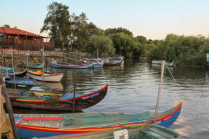 Escaroupim: 1 hour boat trip, guided tour - What you’ll experience during the 1-hour cruise on the Tagus