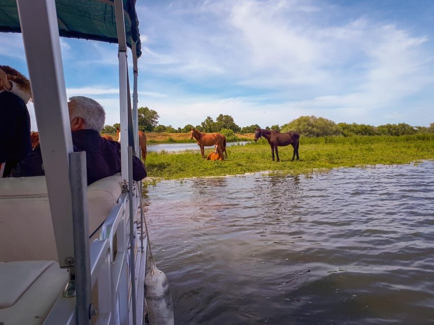 Escaroupim: 1 hour boat trip, guided tour - Museums and Royal Falconry access: turning your ticket into more than just the cruise