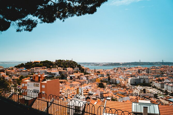 Essential Lisbon Highlights Walking Tour - Quick Hits Before You Go