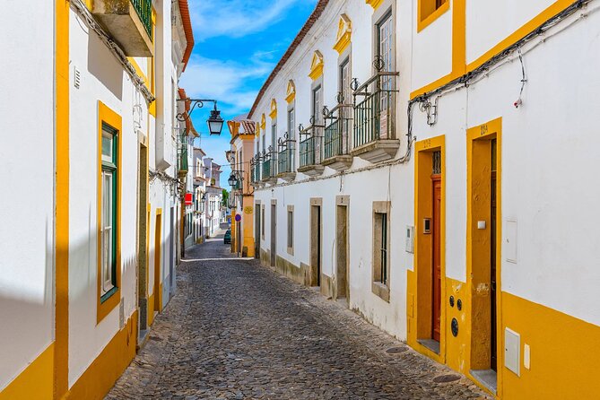 Évora: Private walking tour with tickets to main monuments - Chapel of Bones: macabre, but explained like culture