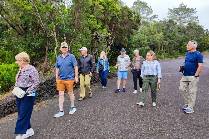 Faial Island: Full Day Tour – Nature and Local Culture - Flamengos roadside views: the only inland parish on Faial