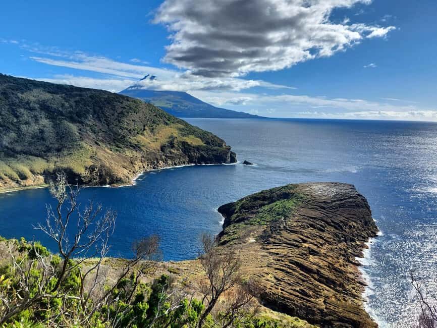 Faial Island: Full-Day Tour - Nature & Local Culture - Capelinhos Volcano: Walk on Sand and Ash from the 1957 Eruption