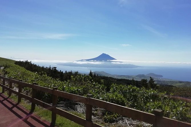 Faial Island: Half Day Tour - What You Get for $69: Real Value on Faial