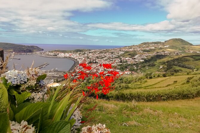 Faial Island: Half Day Tour - Central Area: Farm Country With Island Context