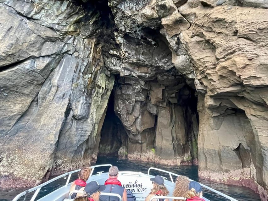 Faial Island: Unique boat tour to the Capelinhos volcano - Key things I’d prioritize before you go
