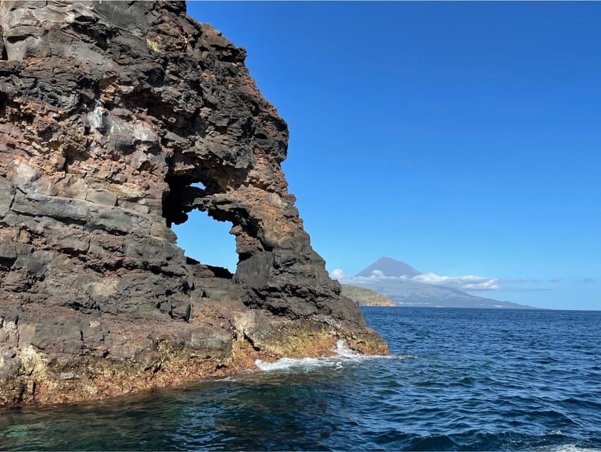 Faial Island: Unique boat tour to the Capelinhos volcano - Getting there: the Horta marina meeting point, in plain English