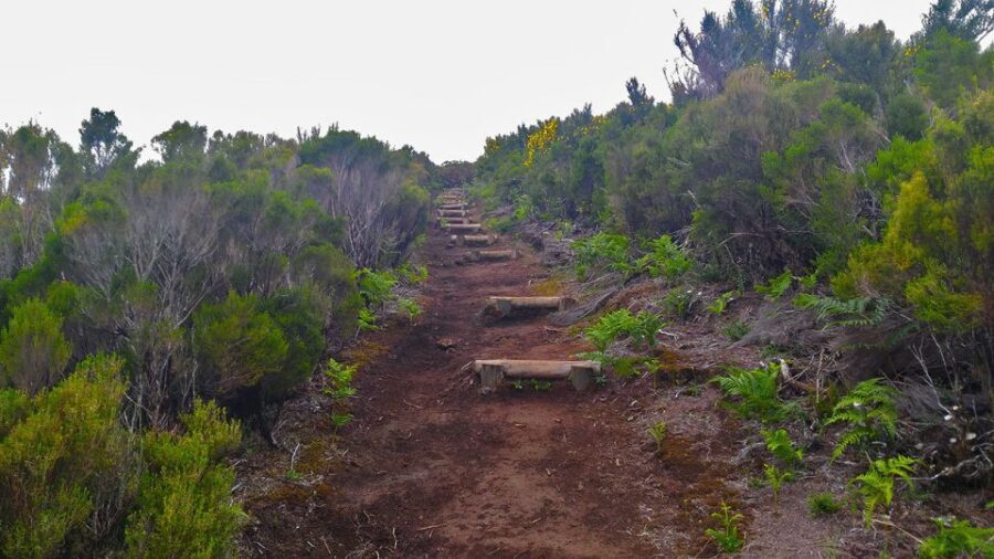 Fanal / Assobiadores - Levada Walk - Timing and duration: an 8-hour day that needs fuel