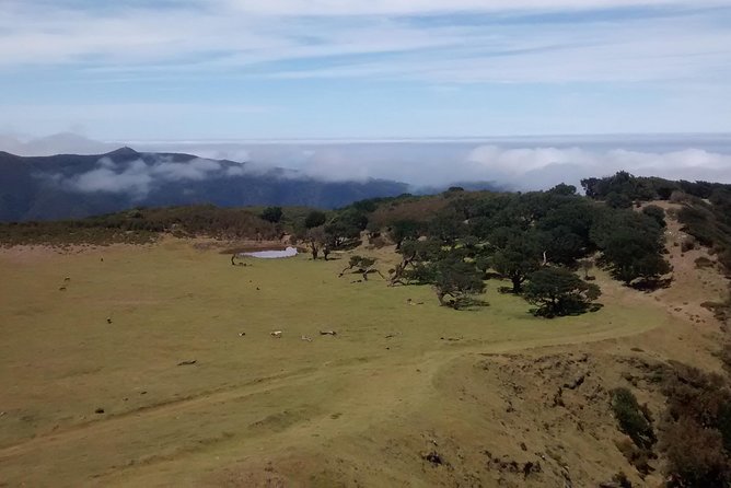 Fanal -Enchanted Forest - Guides make or break the experience (this one gets high marks)