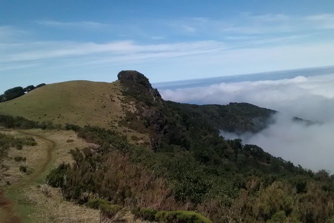 Fanal -Enchanted Forest - Who this private Fanal tour suits best