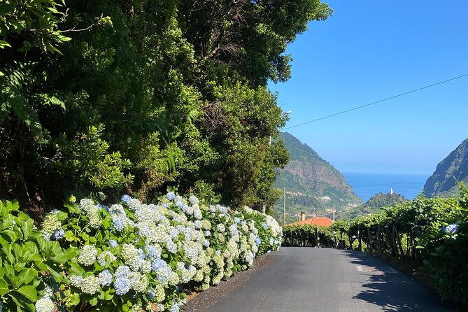 Fanal Forest, Skywalk & Lava Pools: West Madeira 4x4 Expedition - Véu da Noiva to Seixal to Ribeira da Janela: three north-coast scenes in a row