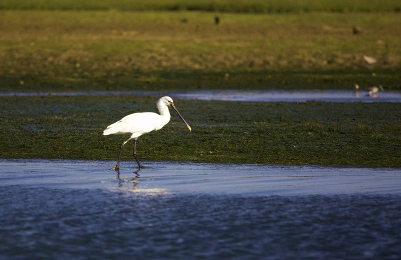 Faro Bike Tour through the Beautiful Ria Formosa - Practical packing checklist (so your day stays pleasant)