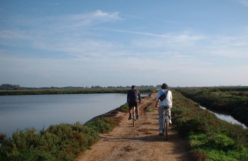 Faro Bike Tour through the Beautiful Ria Formosa - Why this Faro bike route works so well for the Ria Formosa