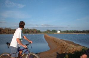 Faro Bike Tour through the Beautiful Ria Formosa - Meeting at Pure Nature Store inside Faro’s Naval Club building
